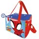 Omul Păianjen Spidey geantă termoizolantă pentru prânz, geantă frigorifică 22,5 cm