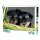 Animale Puzzle cu câini 99 bucăți