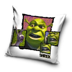 Shrek husă de pernă 40x40 cm Catifea