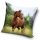 Cal Freedom husă de pernă 40x40 cm Velur