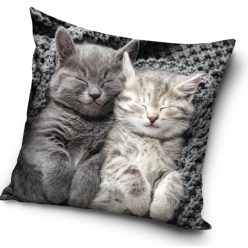 Pisică Sleeping husă decorativă 40x40 cm din catifea