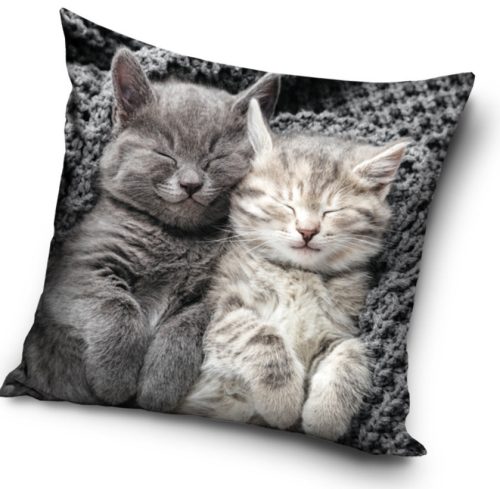 Pisică Sleeping husă decorativă 40x40 cm din catifea