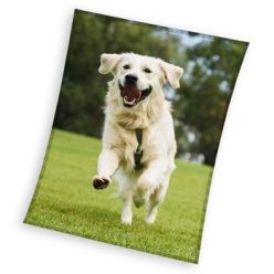   Câine Happytail Retriever plapumă din fleece coral 150x200cm