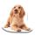 Câine Spaniel pernă decorativă 40x40 cm Velur