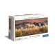Cal Band of Thunder Puzzle Clementoni cu 13200 de piese