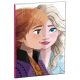 Disney Regatul de gheață Together B/5 caiet dictando 40 file