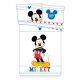 Disney Mickey  Colors așternuturi pentru copii 100×135cm, 40×60 cm