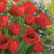 Floare Bunch Șervețel de hârtie cu lalele 20 buc 33x33 cm