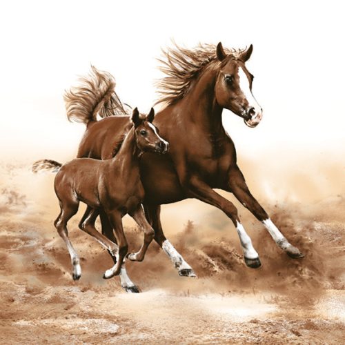 Cal Mare with Foal șervețel 20 buc 33x33 cm