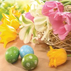Paște Tulips & Eggs set de servețele 20 bucăți 33x33 cm