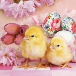 Paște Lovely Chickens șervețel 20 buc 33x33 cm