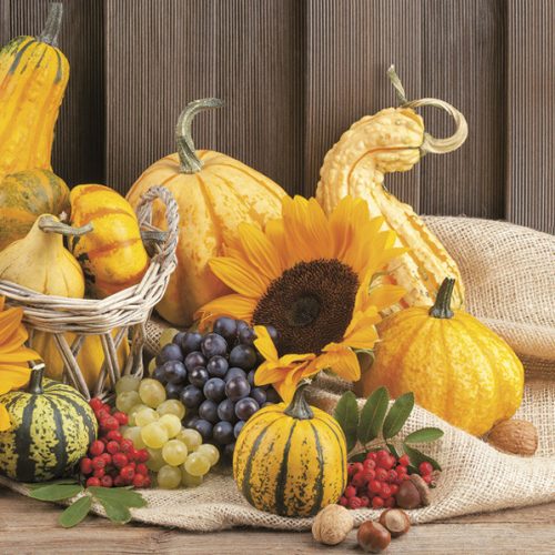 Floare Fruits Șervețel toamnă 20 buc 33x33 cm
