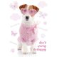 Câine Pink World Dosar A/4 cu elastic