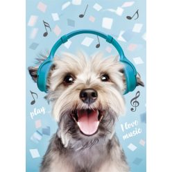 Câine Play Music Mapă A/4 cu elastic