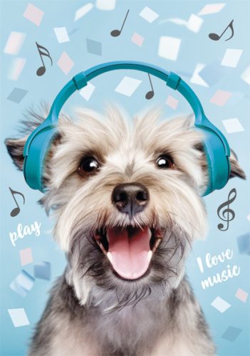 Câine Play Music Mapă A/4 cu elastic