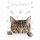 Pisică Meow Dosar A/4 cu elastic
