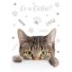 Pisică Meow Dosar A/4 cu elastic
