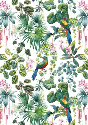 Colorat Parrot Dosar elastic A/4 Natură