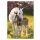 Cal Spring Foal Mapa A/4 cu elastic