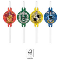 Harry Potter Hogwarts Houses set de 4 paie de hârtie FSC