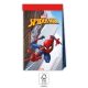 Omul Păianjen Crime Fighter pungă de hârtie set de 4 FSC